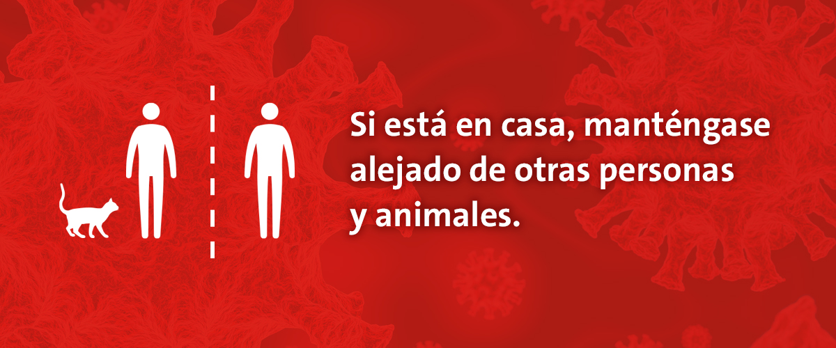 Slideshow explaining in Spanish what to do if you think you've been exposed to coronavirus.