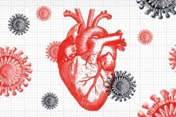 illustration of coronavirus, which causes the disease COVID-19, and the heart